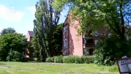 Vor 70 Jahren: Feuersturm zerstört Hamburg | Journal Reporter