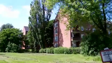 The Hamburg Firebombing 70 Years On | Journal Reporters