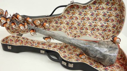 Noche de sabado y arte en Pietrasanta