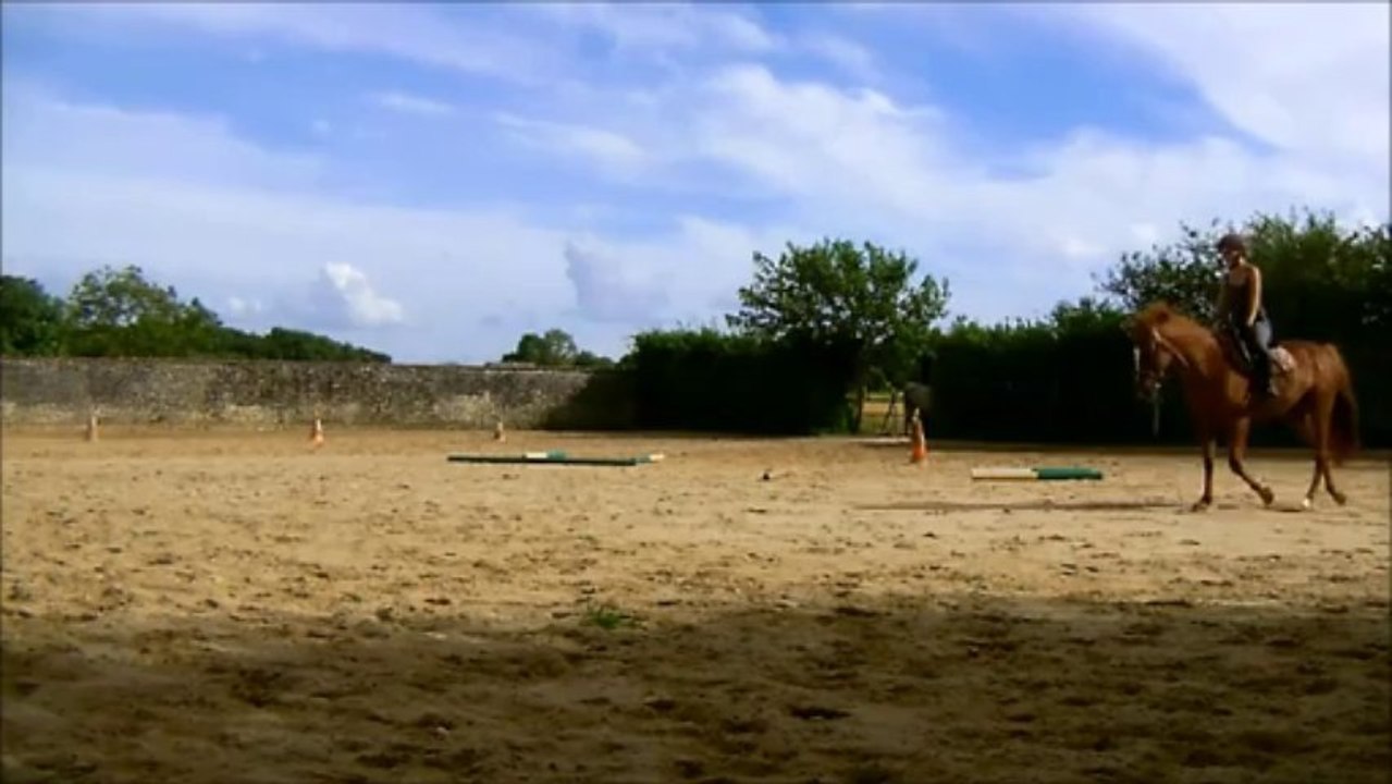 Séance du 28/07 - Trot après détente