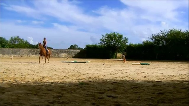 Séance du 28/07 - Barres au sol au trot