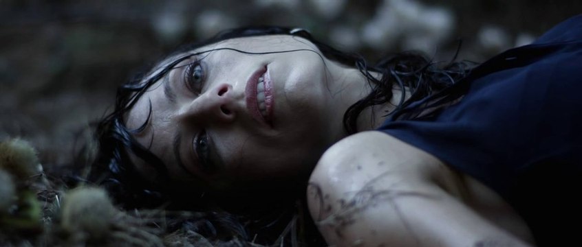 Damien Saez - Aux Encres des Amours