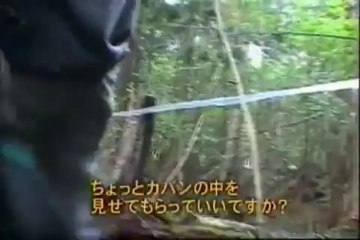 青木ヶ原樹海 ４／５