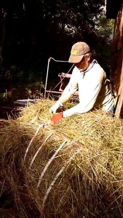 Ramasser le foin à la main en trousses à Montdenis (saison 2)