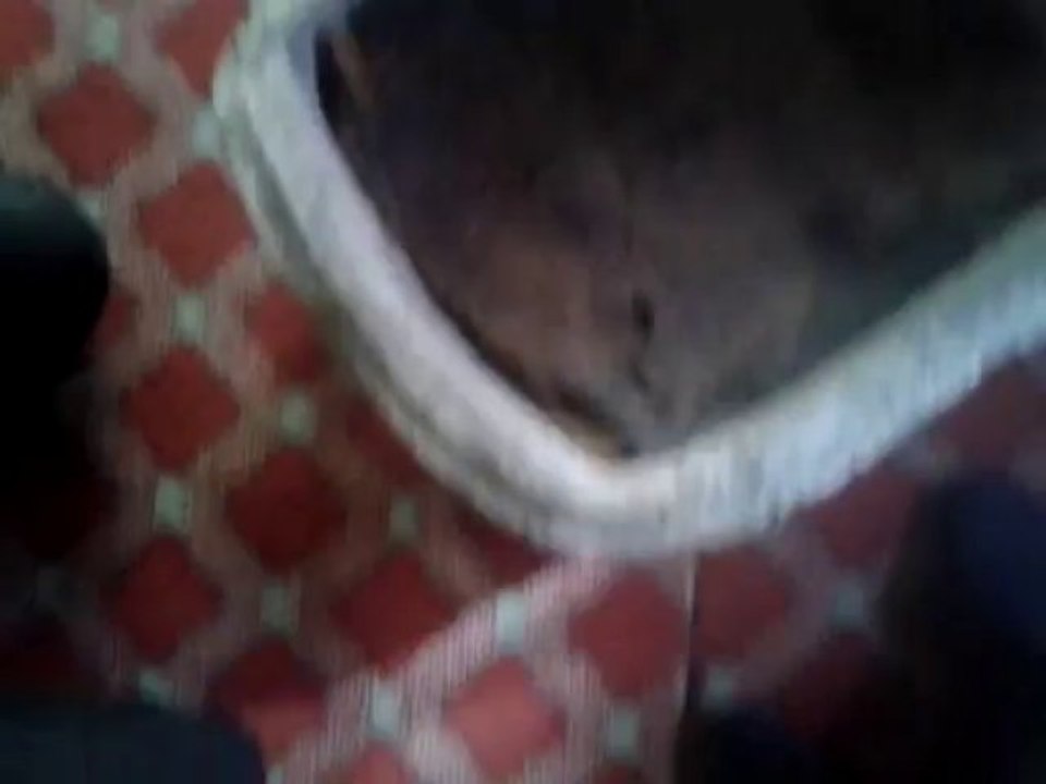 kitap