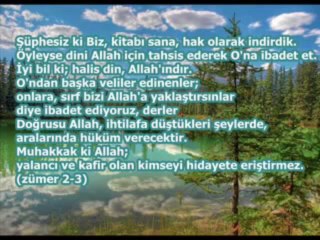 Zümer, 2-3 ayetleri ışığında, züppeli'den türbelerden istemek şirk değildir yalanı!!!