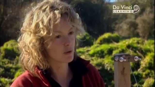 Дикая наука. Землетрясение