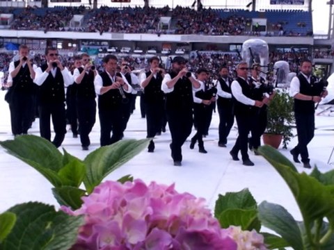 Revivez en images la Grande parade des nations celtes du Festival Interceltique