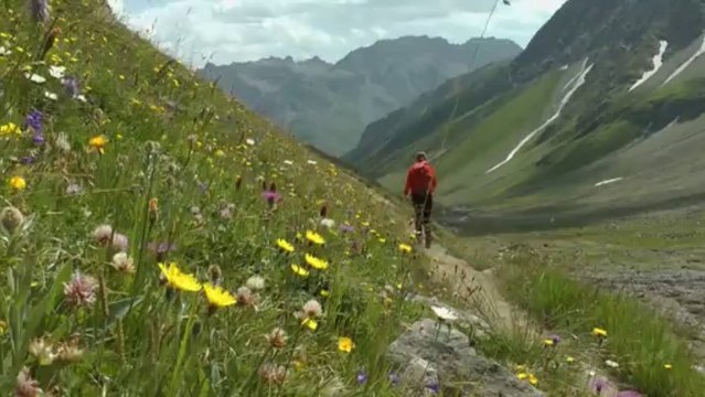 Aiguilles d'Arves (centrale et tête de chat)