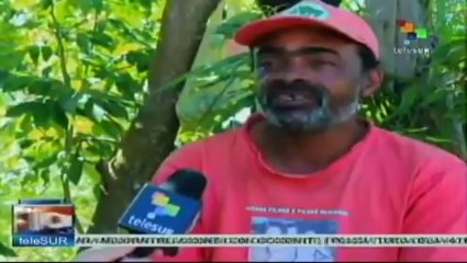 Autosustentabilidad es posible en Brasil con organización colectiva