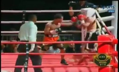 (03-08-2013) Luis Concepcion vs Nestor Narvaez