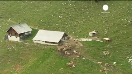 Couple killed in Switzerland after cable car falls onto...