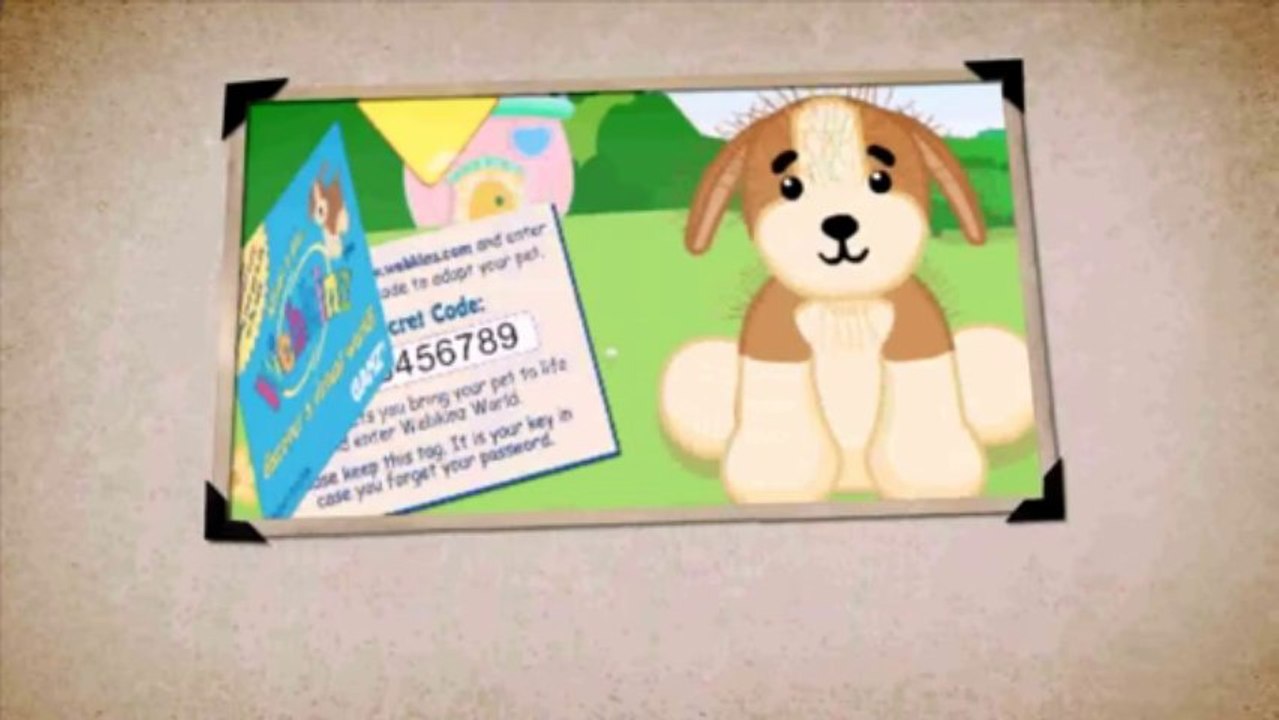 Win Webkinz Codes video Dailymotion