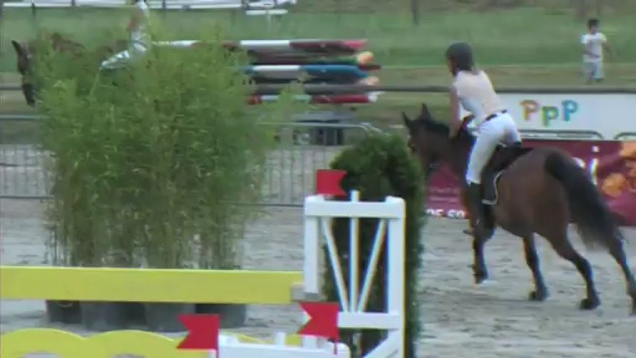 noblesse de malabry 130 PAU (sophie LACAZETTE)