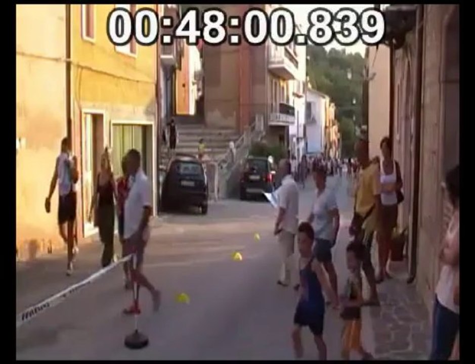 CASTELLINO2013