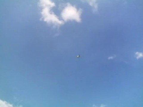 dumanlı yavru 2013 arif