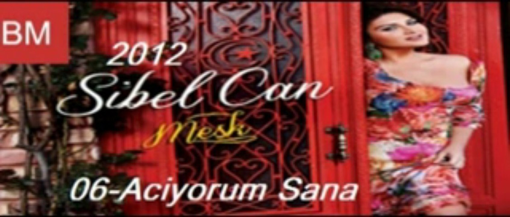 6-Sibel Can2012