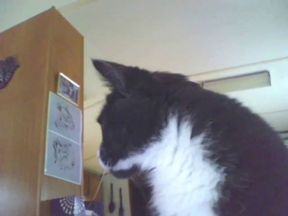 Wiley on Web Cam July 2012