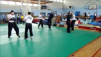 Stage Long du 27 au 29 avril 2013