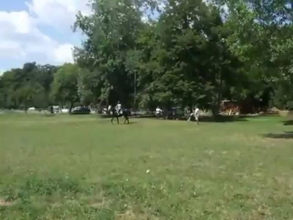 Horse powered rollerblading jump goes wrong