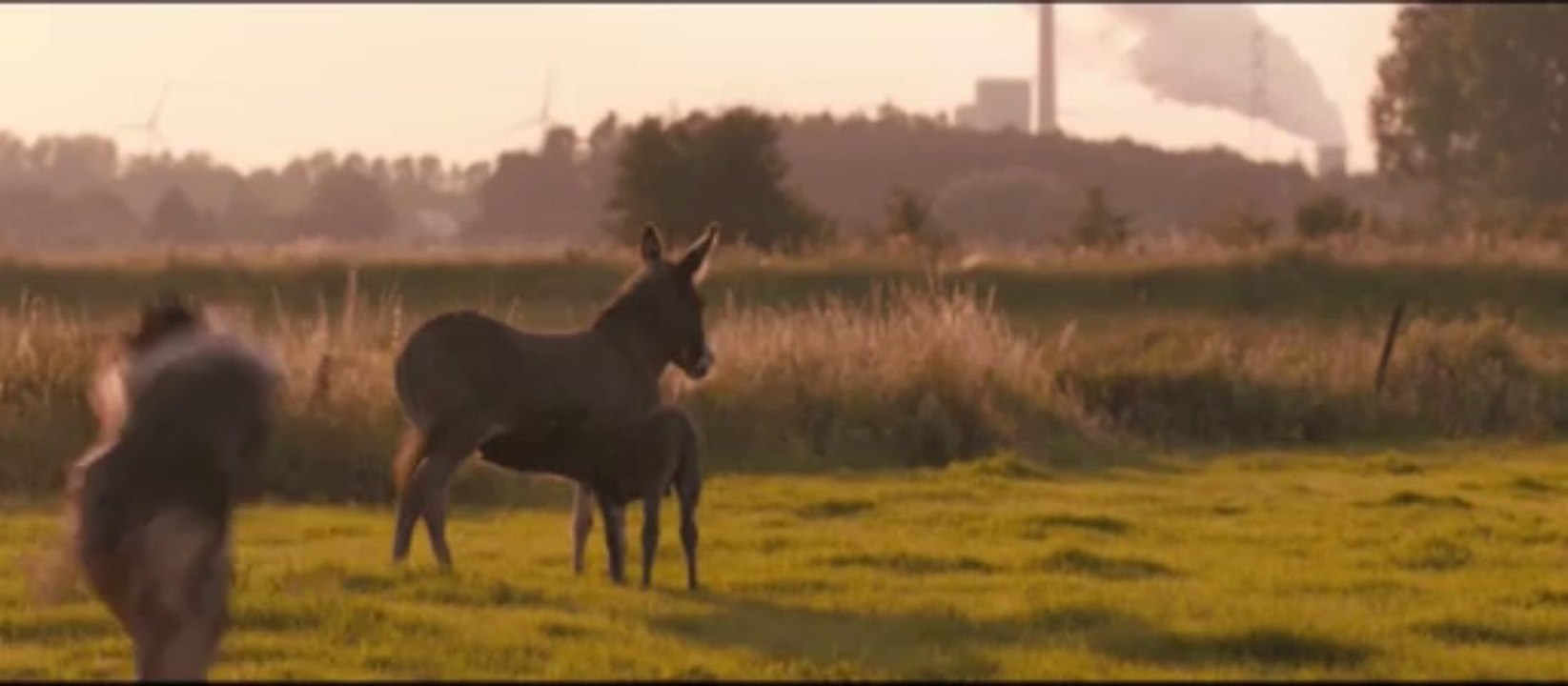 The Broken Circle Breakdown