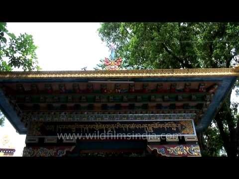 Tibetan Monastery, Dehradun