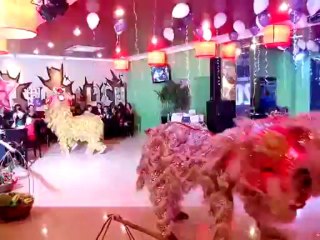 CHO THUÊ MÚA LÂN, DỊCH VỤ XIẾC THÚ, ẢO THUẬT TRUNG THU LH: 0968 168 724