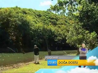 Doğa Dostu, 29 Eylül Perşembe 23.40'ta TRT Okul'da