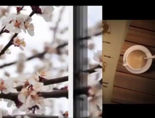 Edebiyatın Yüzü, 19 Nisan Cuma  17.20'de TRT Okul'da