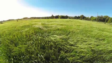 Time lapse champ de ble