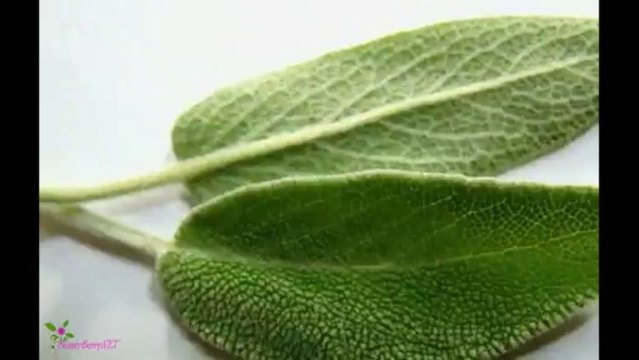 PACO RABANNE Black Xs Άρωμα EDT Σπρέυ