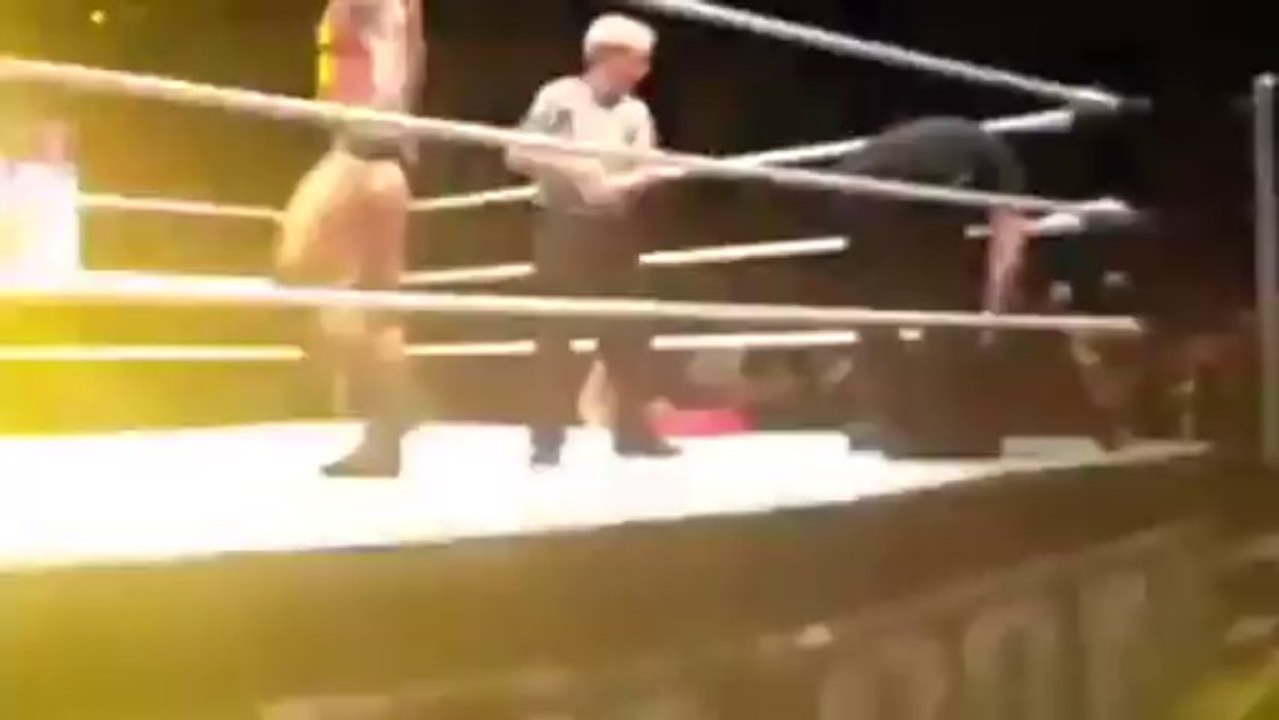 WWE - Randy Orton Gets Attacked By a Crazy Fan & Punched in the Balls