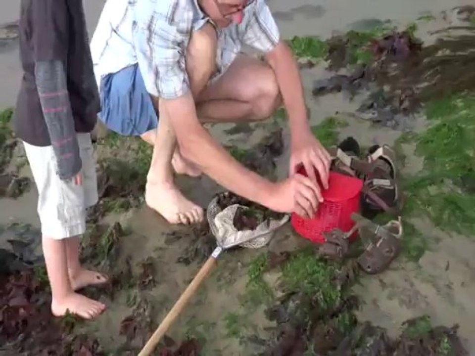 A la pêche aux ...