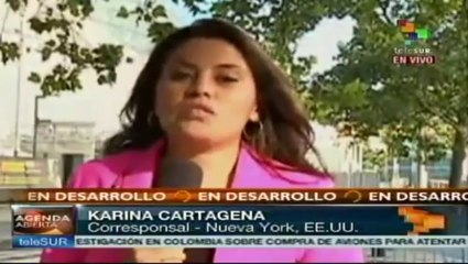 Cristina Fernández se reunirá hoy con Ban Ki-moon