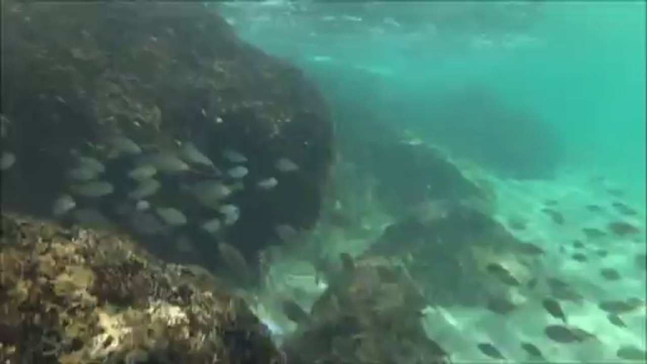 Eau poissonneuse