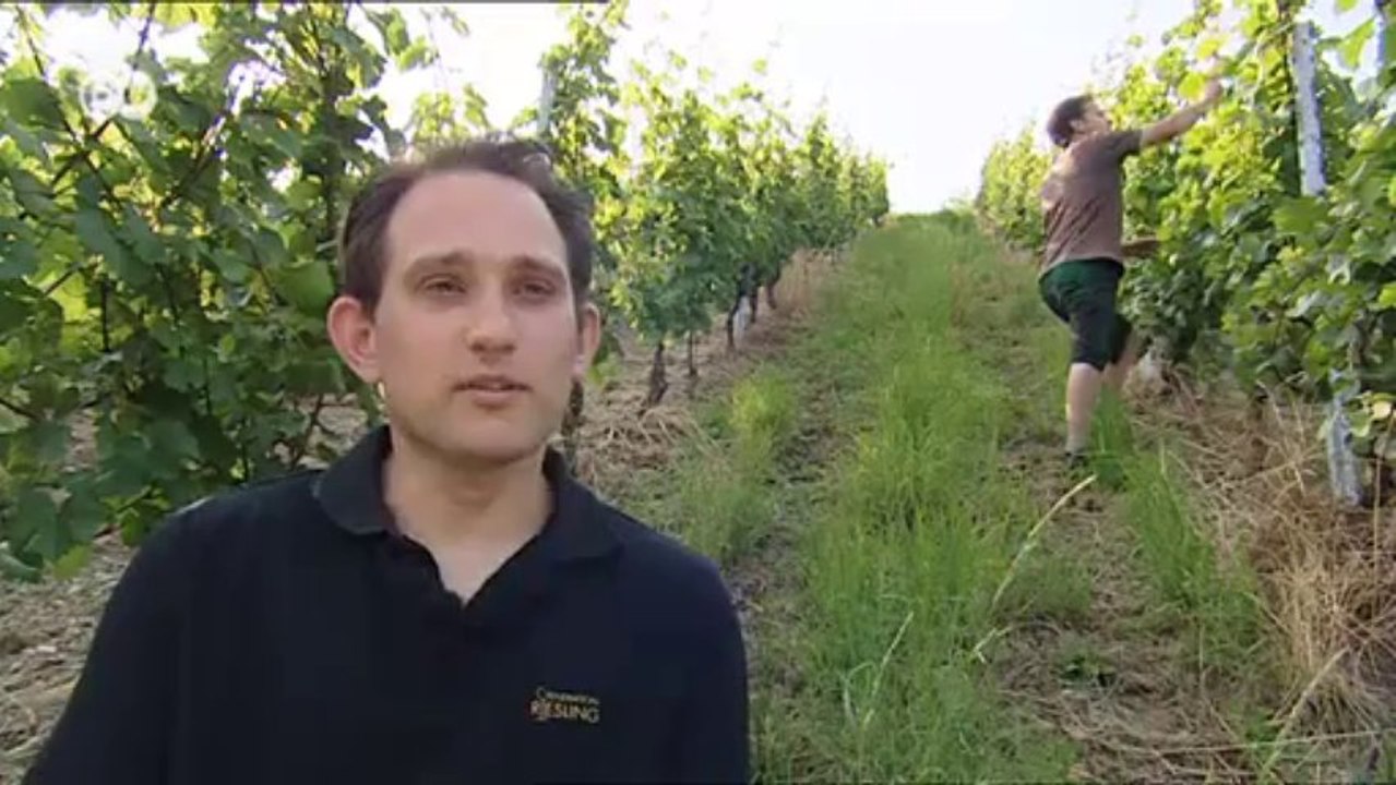 Medio Rin: Patrimonio de la Humanidad | Destino Alemania