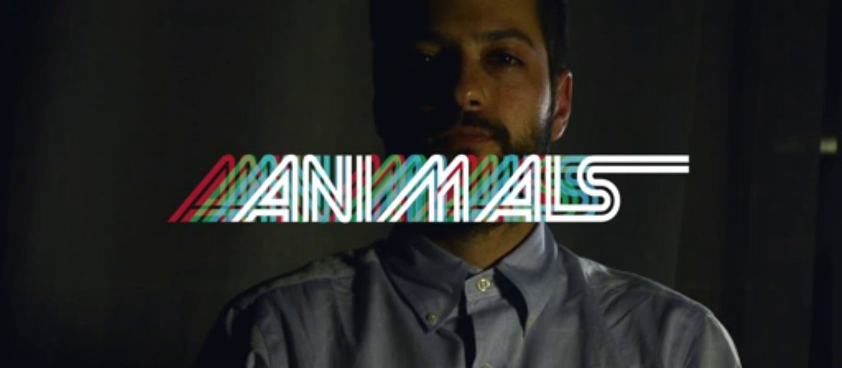 A public service announcement from Amir of #ANIMALS