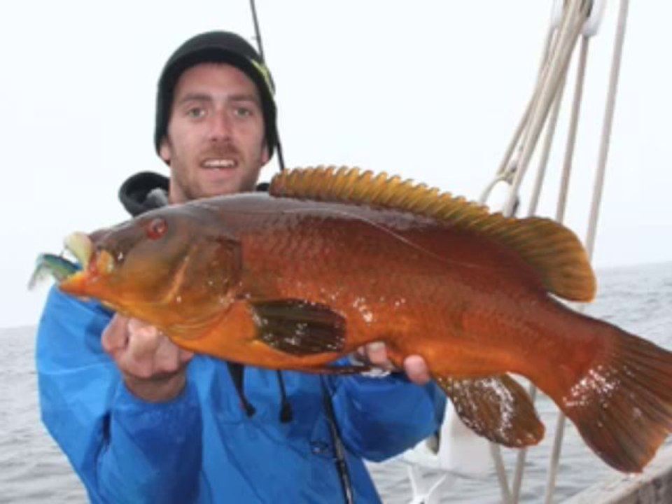 Pêche à Rochebonne