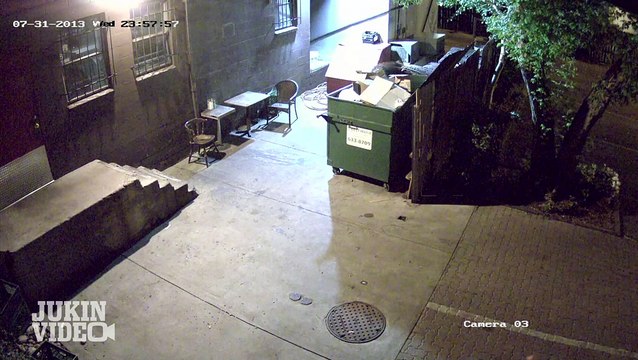 Brown Bear Thief CAUGHT Stealing Dumpster