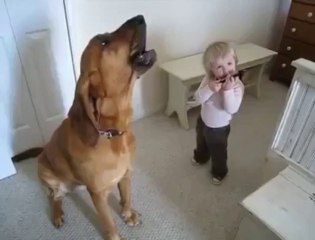 Baby and dog playing the music together