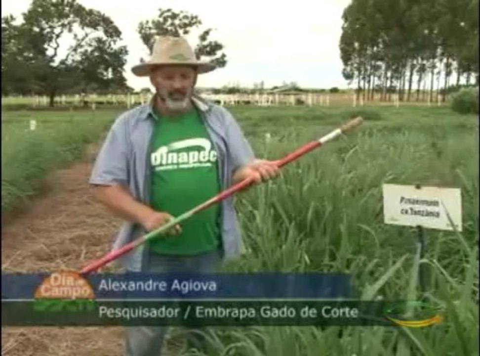 DIA DE CAMPO 03-08-2013