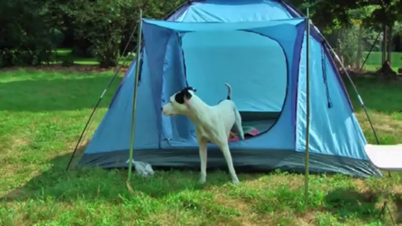 ein tag auf dem land