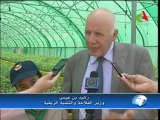 Visite de la wilaya de Sétif du Ministre de l'Agriculture le Dr Rachid Benaissa