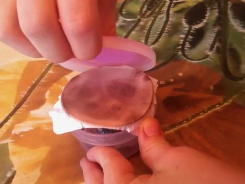 Révéler des traces digitales latentes avec des vapeurs de iode-Large 2