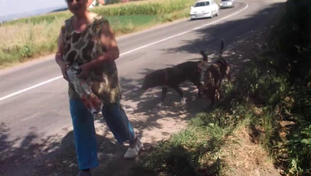 abandonat in strada