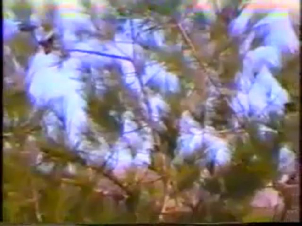 zyad asad - kon