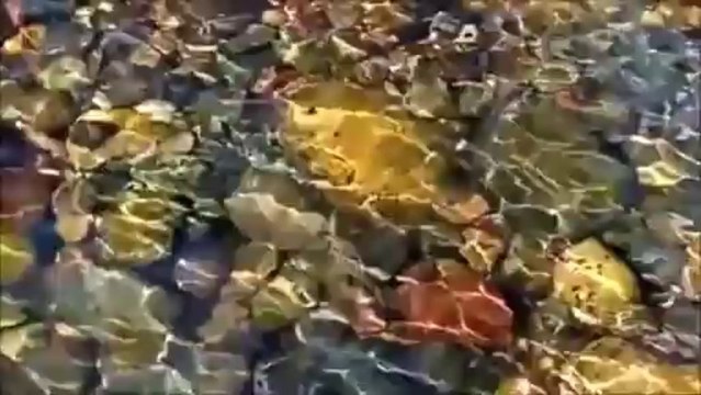 Yahel - Inta Omre ( Om Kalthoum