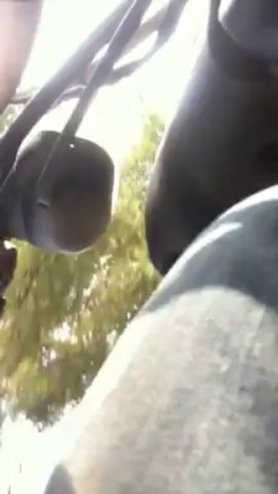 Nitro 70cc stage 6 racing