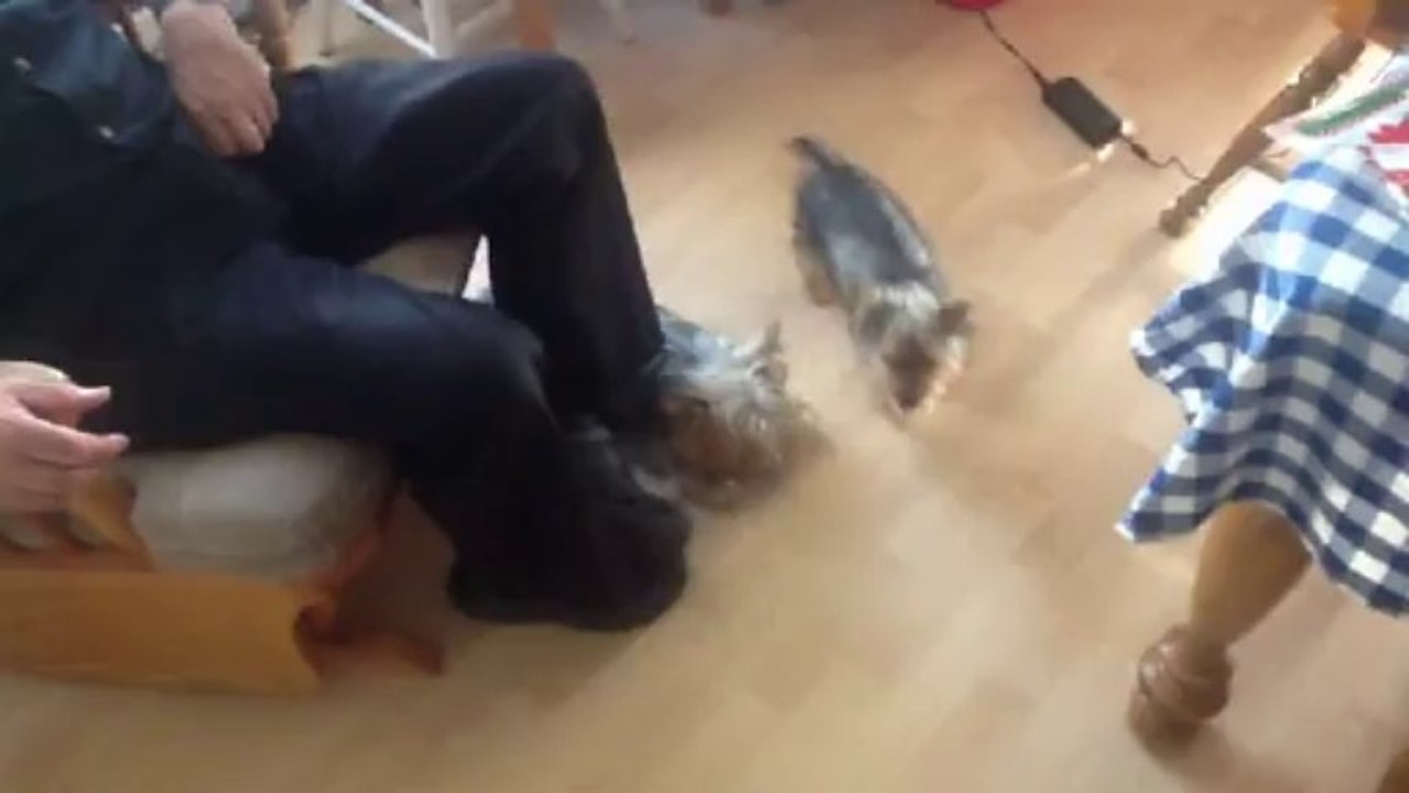 Candy VS Charlie