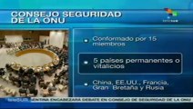 Organización interna del Consejo de Seguridad de la ONU